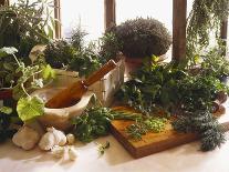 Assorted Herbs Growing in Clay Pots; Window Sill-Eising Studio - Food Photo and Video-Photographic Print