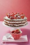 Strawberry Cream Cake on Cake Stand, Strawberries, Icing Sugar-Eising Studio Food Photo and Video-Photographic Print