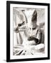 Eizio-Fabio Panichi-Framed Photographic Print