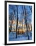 Eizz-Jim Crotty-Framed Photographic Print