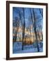 Eizz-Jim Crotty-Framed Photographic Print