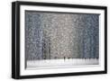 Black Frame