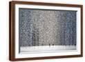 Brown Frame
