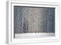 White Frame