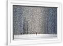 Gramercy White