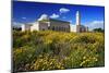 El Abidine Mosque in Carthage, Tunis, Tunisia-null-Mounted Art Print