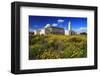 El Abidine Mosque in Carthage, Tunis, Tunisia-null-Framed Art Print