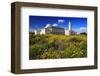 El Abidine Mosque in Carthage, Tunis, Tunisia-null-Framed Art Print