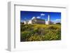 El Abidine Mosque in Carthage, Tunis, Tunisia-null-Framed Art Print