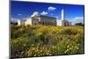 El Abidine Mosque in Carthage, Tunis, Tunisia-null-Mounted Art Print