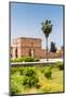 El Badii Palace, Marrakech, Morocco-Nico Tondini-Mounted Photographic Print