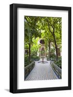 El Bahia Palace Courtyard, Marrakech, Morocco, North Africa, Africa-Matthew Williams-Ellis-Framed Photographic Print