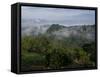 El Caney Plantation and View over Coffee Crops Towards the Andes Mountains, Near Manizales-Ethel Davies-Framed Stretched Canvas