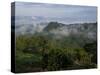 El Caney Plantation and View over Coffee Crops Towards the Andes Mountains, Near Manizales-Ethel Davies-Stretched Canvas