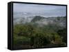 El Caney Plantation and View over Coffee Crops Towards the Andes Mountains, Near Manizales-Ethel Davies-Framed Stretched Canvas