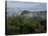 El Caney Plantation and View over Coffee Crops Towards the Andes Mountains, Near Manizales-Ethel Davies-Stretched Canvas