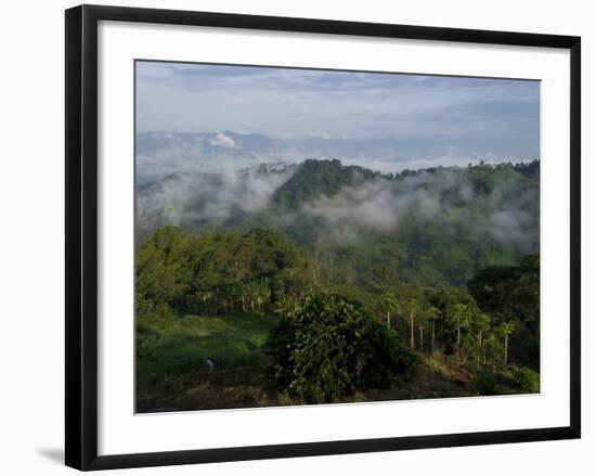 El Caney Plantation and View over Coffee Crops Towards the Andes Mountains, Near Manizales-Ethel Davies-Framed Photographic Print