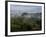 El Caney Plantation and View over Coffee Crops Towards the Andes Mountains, Near Manizales-Ethel Davies-Framed Photographic Print