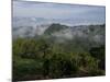 El Caney Plantation and View over Coffee Crops Towards the Andes Mountains, Near Manizales-Ethel Davies-Mounted Photographic Print