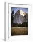 El Cap as Seen from the Valley Floor of Yosemite National Park, California-Dan Holz-Framed Photographic Print