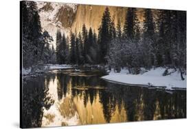El Capitan above the Merced River in winter, Yosemite National Park, California, USA-Russ Bishop-Stretched Canvas
