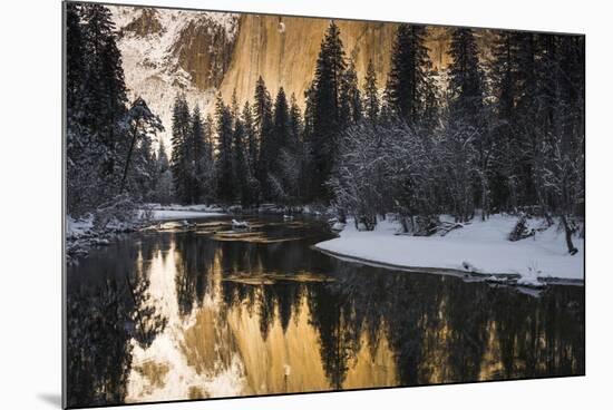 El Capitan above the Merced River in winter, Yosemite National Park, California, USA-Russ Bishop-Mounted Photographic Print