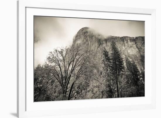 El Capitan and black oak in winter, Yosemite National Park, California, USA-Russ Bishop-Framed Premium Photographic Print