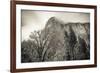 El Capitan and black oak in winter, Yosemite National Park, California, USA-Russ Bishop-Framed Premium Photographic Print