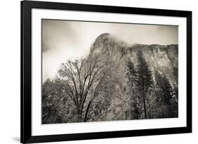 El Capitan and black oak in winter, Yosemite National Park, California, USA-Russ Bishop-Framed Premium Photographic Print