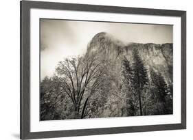 El Capitan and black oak in winter, Yosemite National Park, California, USA-Russ Bishop-Framed Premium Photographic Print