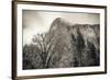 El Capitan and black oak in winter, Yosemite National Park, California, USA-Russ Bishop-Framed Premium Photographic Print