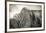 El Capitan and black oak in winter, Yosemite National Park, California, USA-Russ Bishop-Framed Premium Photographic Print