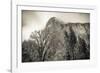 El Capitan and black oak in winter, Yosemite National Park, California, USA-Russ Bishop-Framed Photographic Print