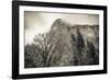 El Capitan and black oak in winter, Yosemite National Park, California, USA-Russ Bishop-Framed Photographic Print