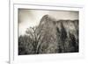 El Capitan and black oak in winter, Yosemite National Park, California, USA-Russ Bishop-Framed Photographic Print