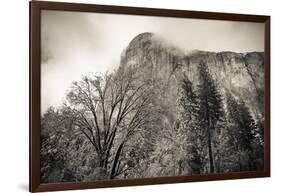 El Capitan and black oak in winter, Yosemite National Park, California, USA-Russ Bishop-Framed Photographic Print