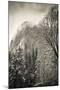 El Capitan and black oak in winter, Yosemite National Park, California, USA-Russ Bishop-Mounted Photographic Print