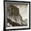 El Capitan and Half Dome, Yosemite Valley, California, USA, 1902-Underwood & Underwood-Framed Photographic Print