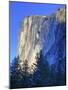 El Capitan and Horsetail Falls, Yosemite National Park, California, Usa-Jamie & Judy Wild-Mounted Photographic Print