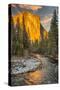 El Capitan and Merced River, Yosemite, California.-John Ford-Stretched Canvas