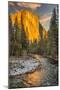 El Capitan and Merced River, Yosemite, California.-John Ford-Mounted Photographic Print
