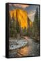 El Capitan and Merced River, Yosemite, California.-John Ford-Framed Stretched Canvas