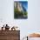 El Capitan and Merced River. Yosemite National Park, CA-Jamie & Judy Wild-Photographic Print displayed on a wall