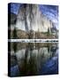 El Capitan and Merced River-Darrell Gulin-Stretched Canvas