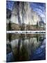 El Capitan and Merced River-Darrell Gulin-Mounted Photographic Print