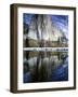 El Capitan and Merced River-Darrell Gulin-Framed Photographic Print