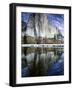 El Capitan and Merced River-Darrell Gulin-Framed Photographic Print