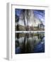 El Capitan and Merced River-Darrell Gulin-Framed Photographic Print