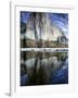 El Capitan and Merced River-Darrell Gulin-Framed Photographic Print