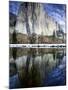 El Capitan and Merced River-Darrell Gulin-Mounted Photographic Print